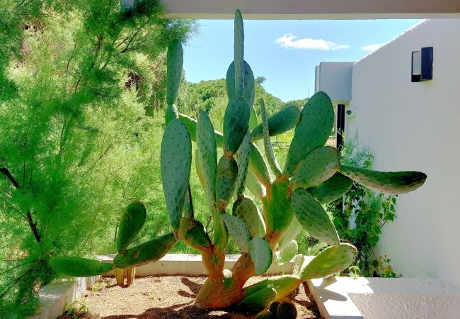 Terraced House in Vilamoura - Bungalow Golf by SAPvillas Terraced House in Vilamoura - Bungalow Golf by SAPvillas