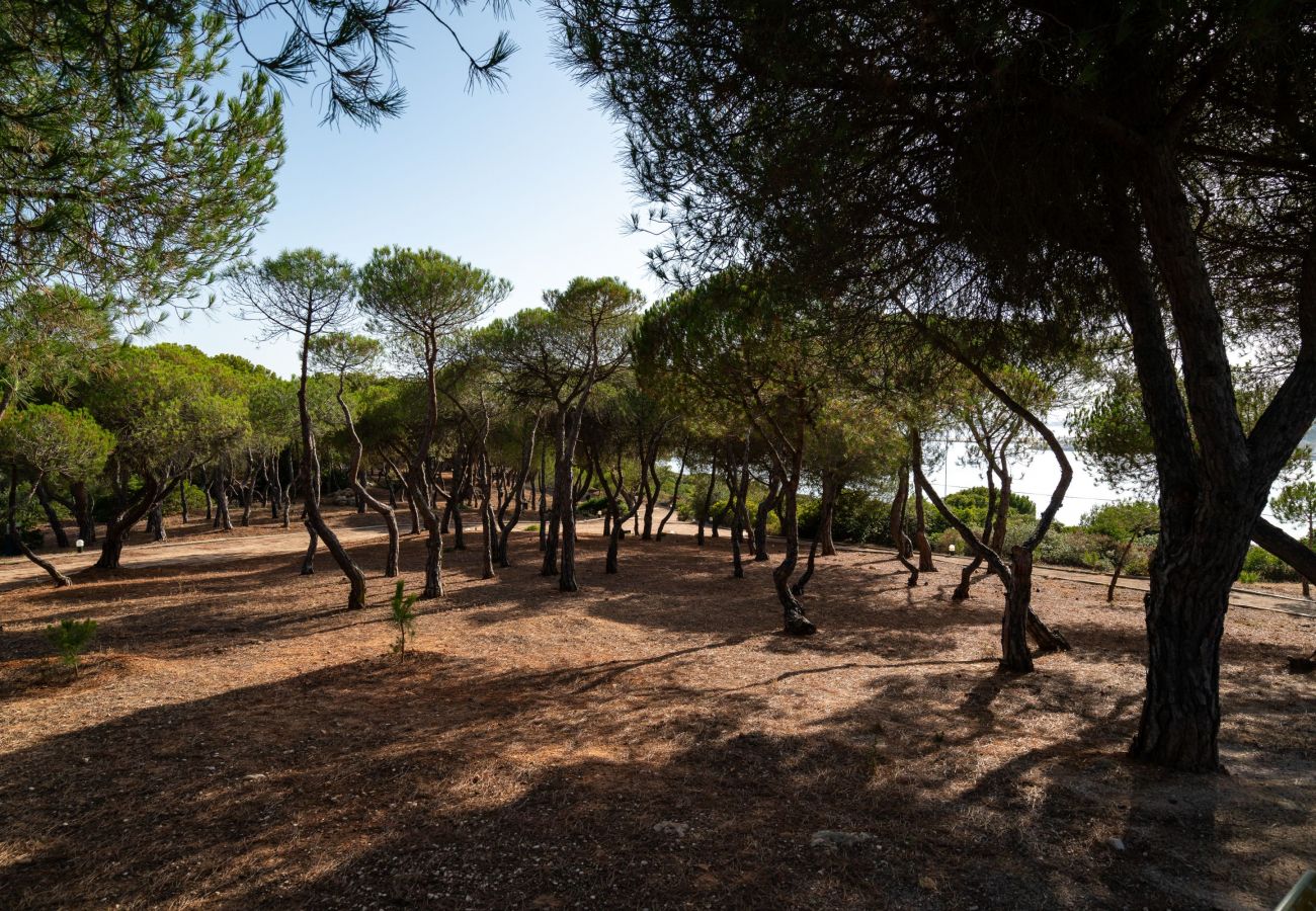 Villa en Ferragudo - Monte da Bela Vista by SAPvillas